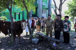 Qurban PCNU